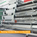 Fornecimento direto da fábrica de Tianrui Um tipo gaiola de camada de frango automática completa